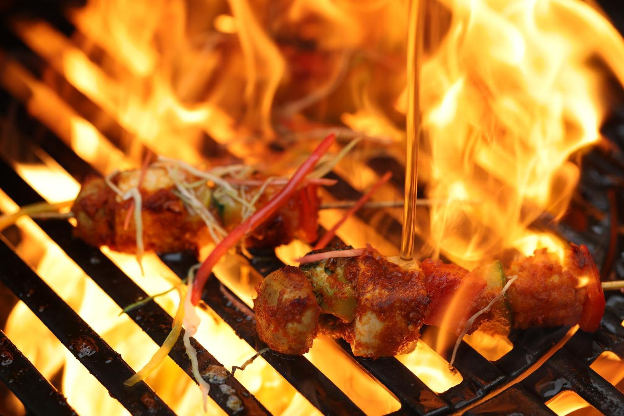Holiday Inn Agra Mg Road An Ihg Hotel Екстер'єр фото Barbecue